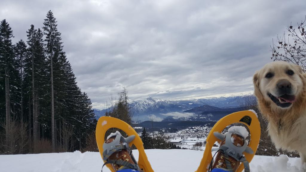 Hotel Olimpic Baselga di Pine Luaran gambar